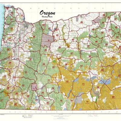 La Rivolta di Pendleton: Esplorando l'Opposizione al Sistema della Proprietà Terrestre in Oregon